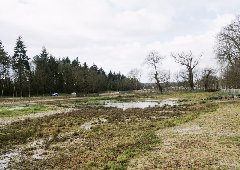 Illustration - Zone humide restaurée sur Boudebois en phase chantier