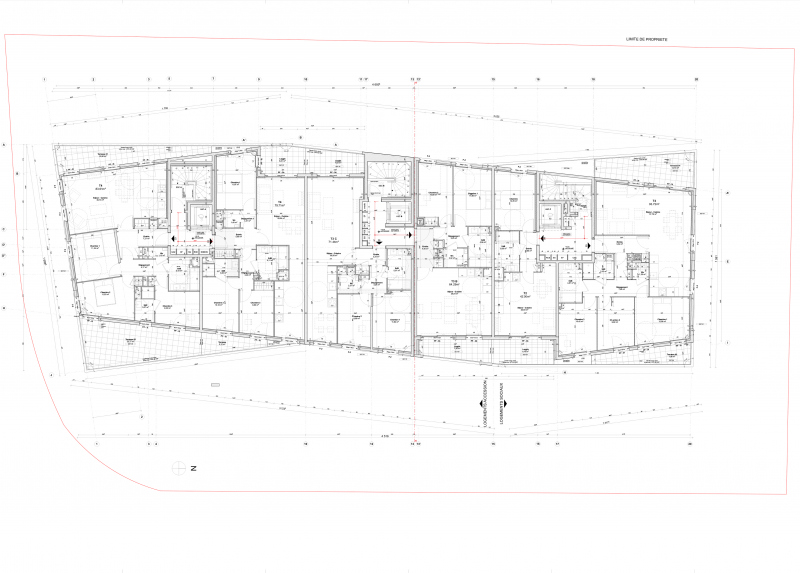 Illustration - Plans du volume, avec les terrasses généreuses