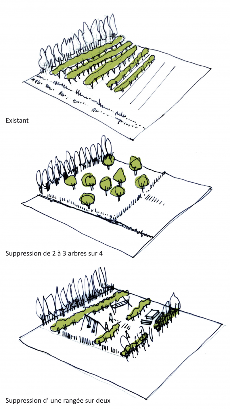 Illustration - Principe d’intégration et de réutilisation des vergers existants