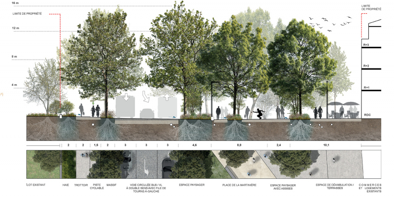 Illustration - Coupe sur la place de la Martinière
