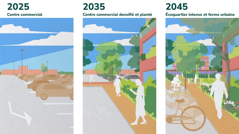 Illustration - Zones commerciales