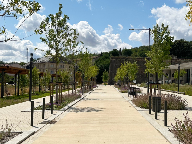 Illustration - La rue Odile Ritter