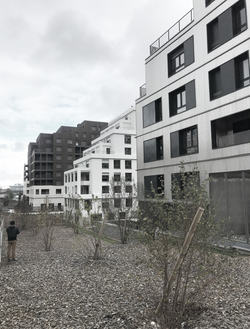 Illustration - Gradins sur le corridor de biodiversité