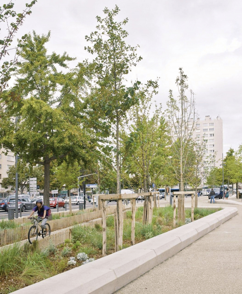 Illustration - Plantations et piste cyclable