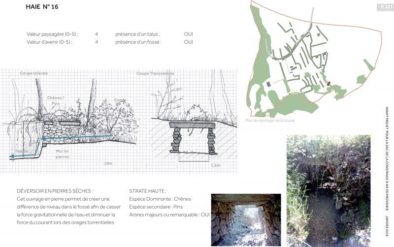 Illustration - Extrait du diagnostic arboré