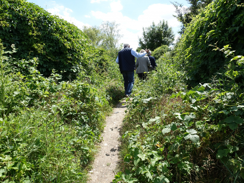 Illustration - Séminaire-Balade urbaine-Dans la friche