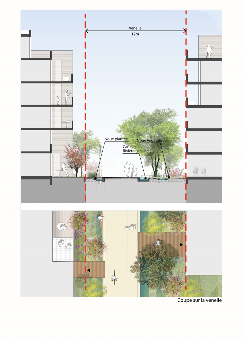 Illustration - Coupe de principe de la venelle