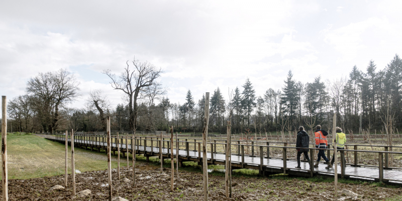 Illustration - Ponton traversant la zone humide du parc de Boudebois