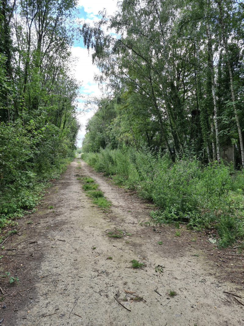 Illustration - Réseau de chaleur enterré sur section courante