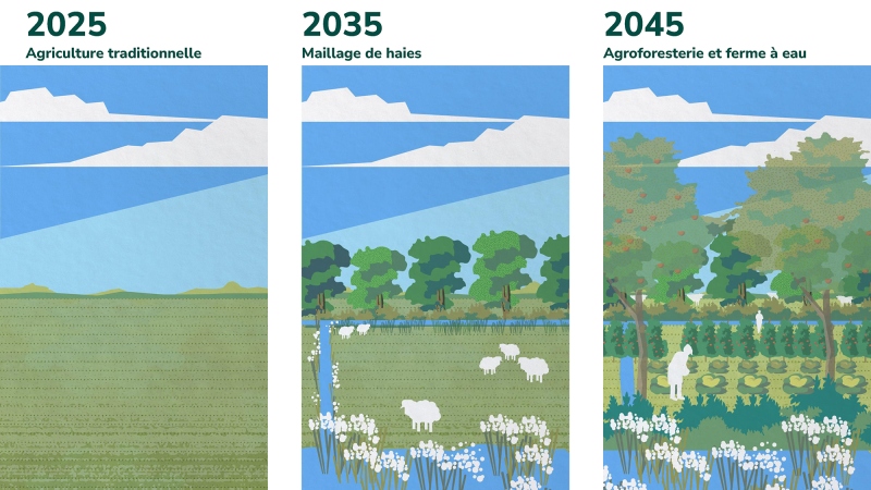 Illustration - Indice de canopée