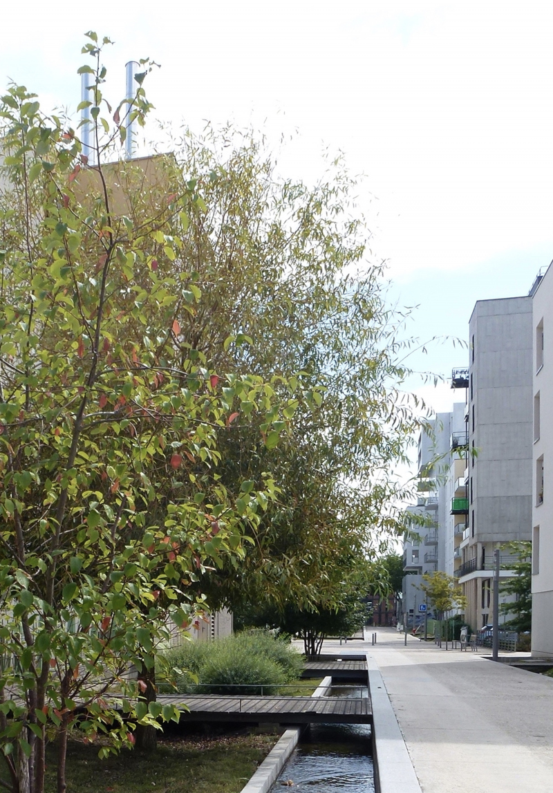 Illustration - Venelle avec la Luciline