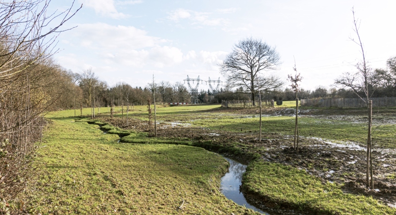 Illustration - Ruisseau restauré et plantations