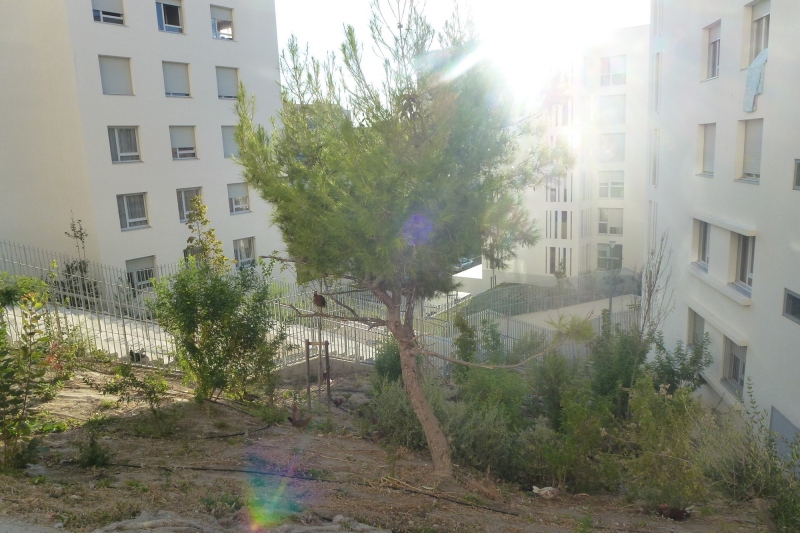 Illustration - Vue sur la descente des collèges