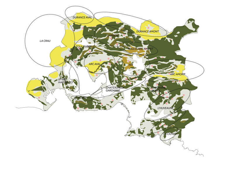 Illustration - La métropole agricole et sylvicole