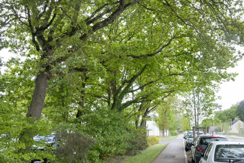 Illustration - La rue Blériot, secteur Ouest