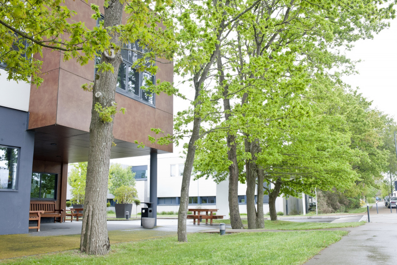 Illustration - Les établissement s'inscrivent dans la trame bocagère