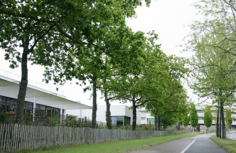 Illustration - L'avenue de Ker Lann