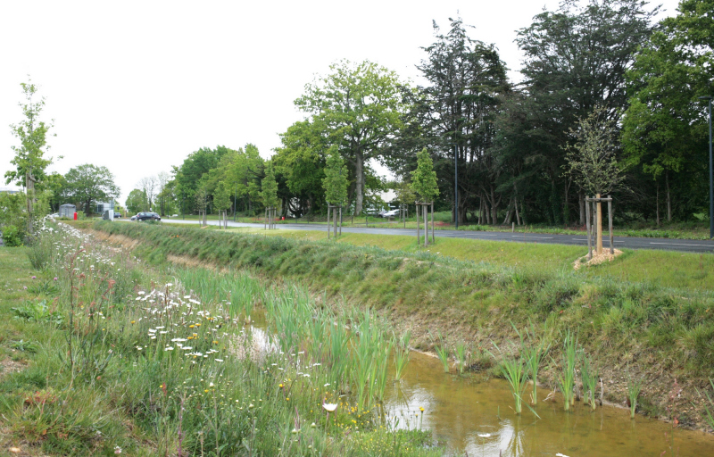 Illustration - Noue sur le secteur Ouest