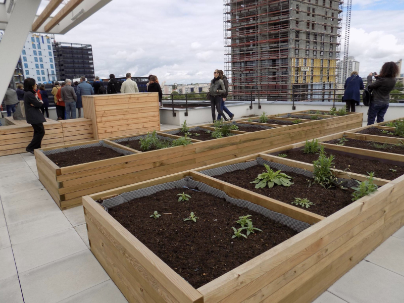 Illustration - Vue d’une terrasse partagée sur la toiture du bâtiment central