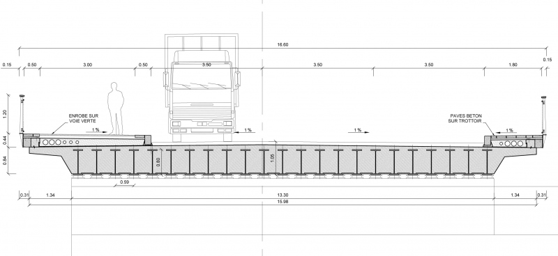 Illustration - Coupe transversale