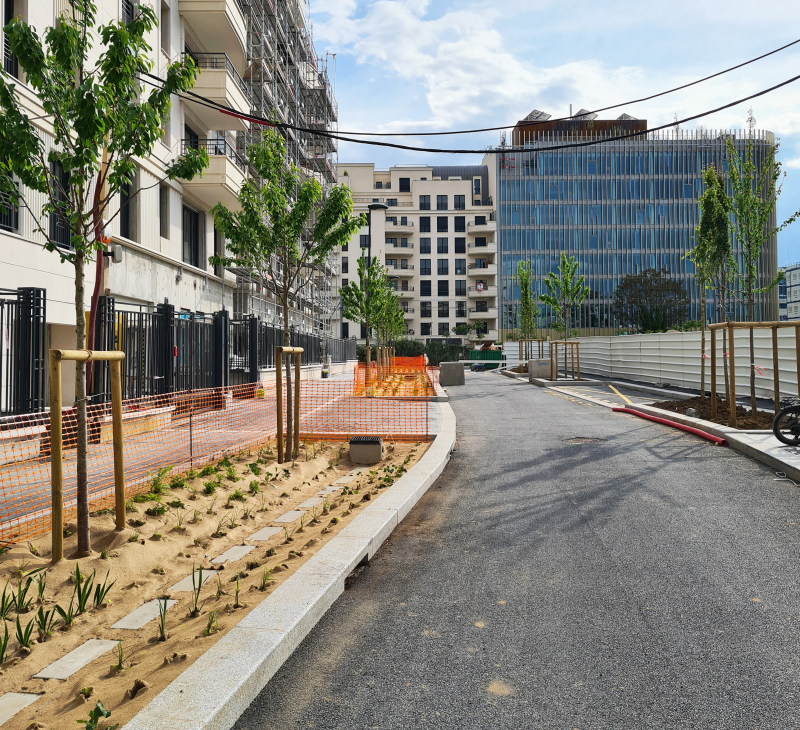 Illustration - La rue Toni Morisson (secteur 4) en chantier, mai 2022